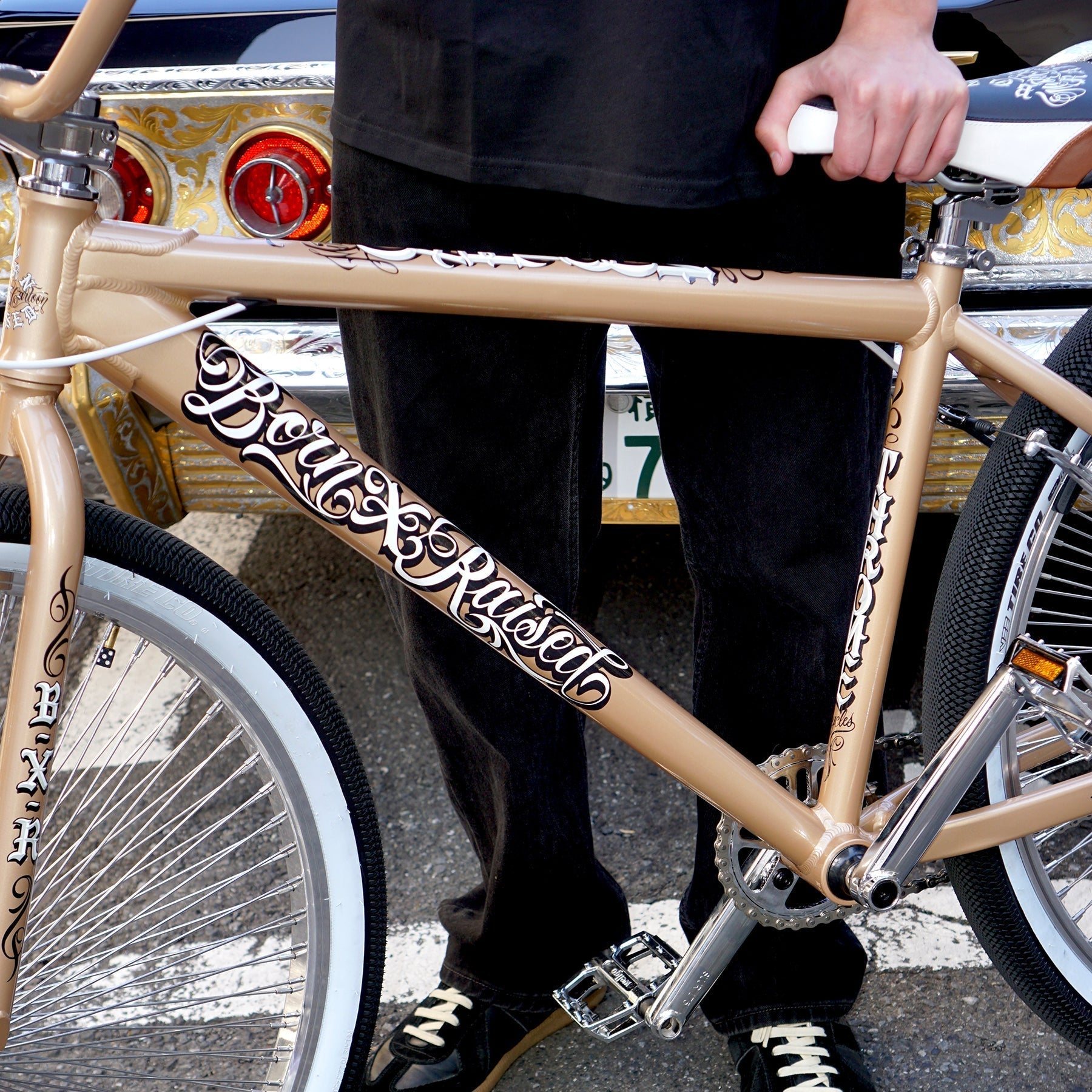 Lifestyle - Toons Mart